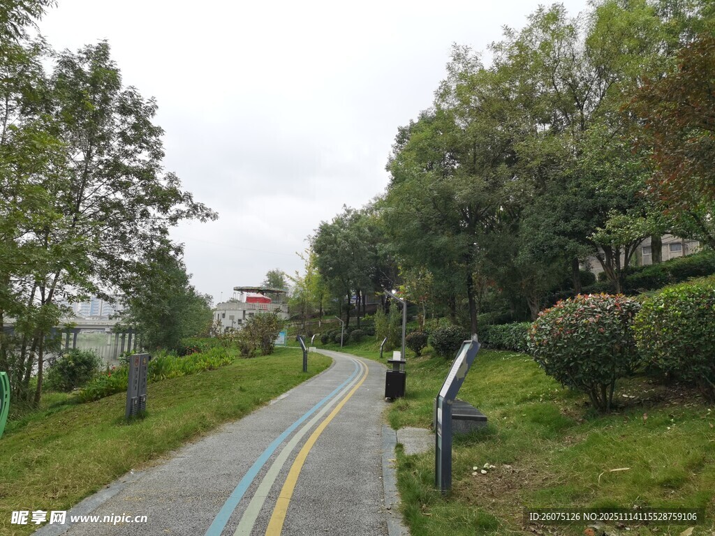 林间漫步道自然好风光