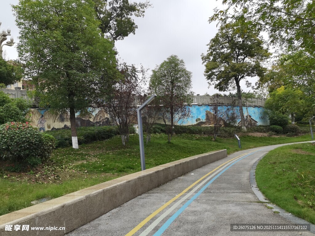 城市中的宁静骑行小道