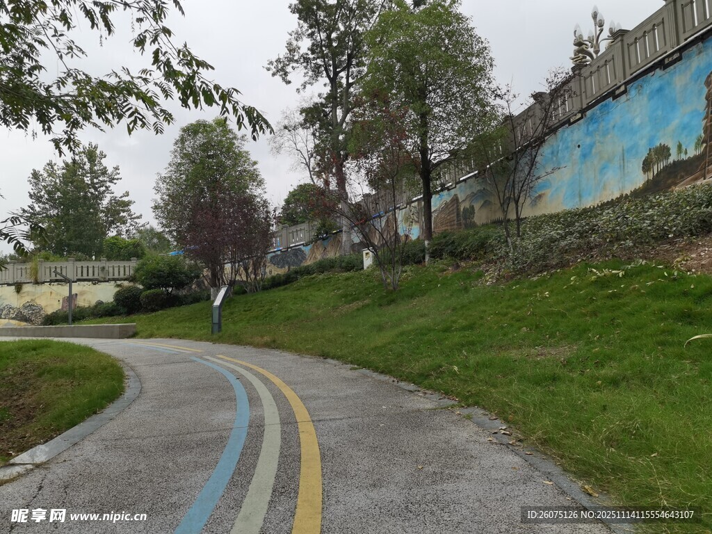 乡村彩色小路自然景致