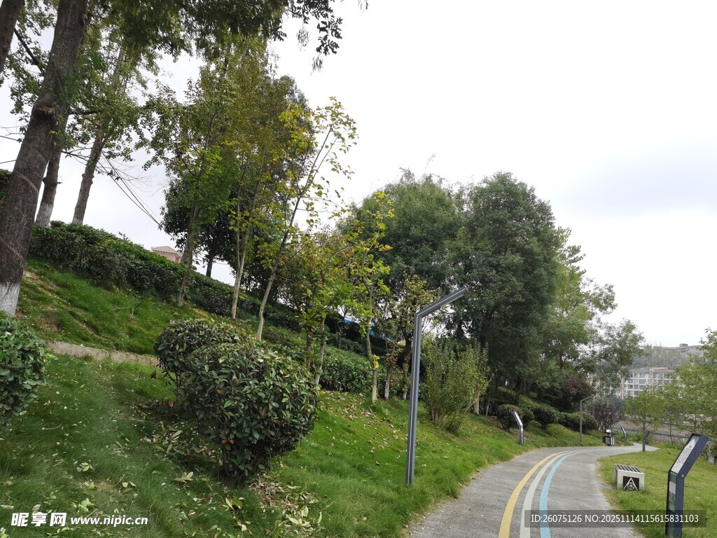 山间蜿蜒小路旁绿意盎然