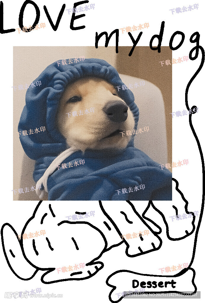 可爱蓝帽小狗萌趣瞬间 白墨 直