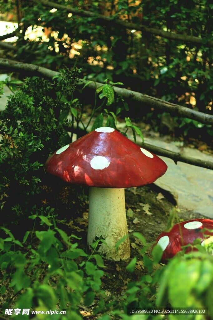 森林中的红色蘑菇