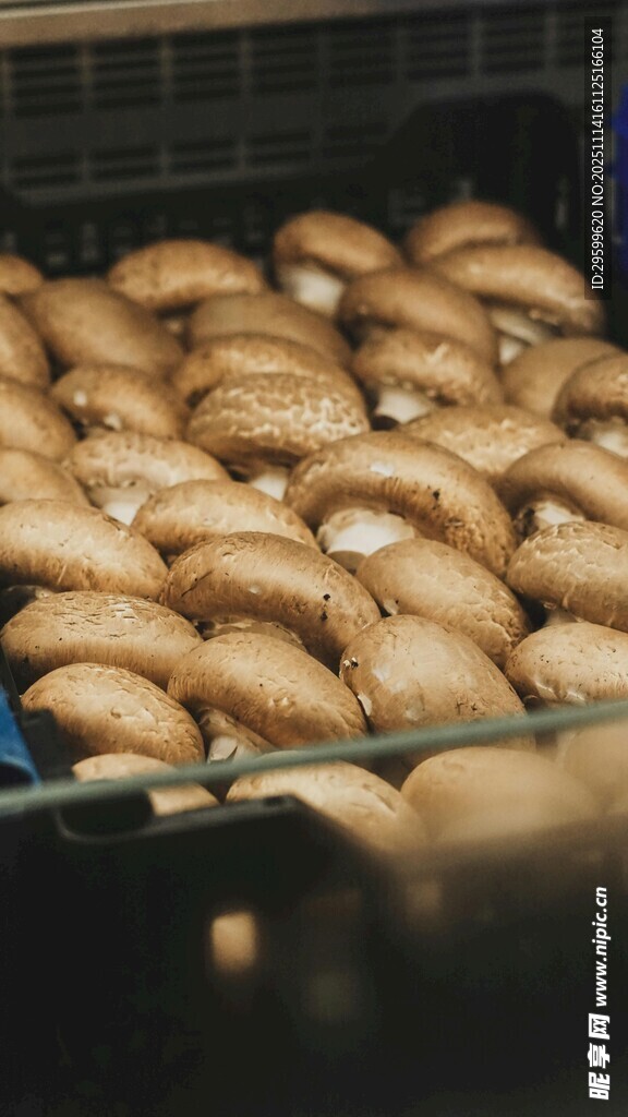 烤箱中烤制的美味蘑菇