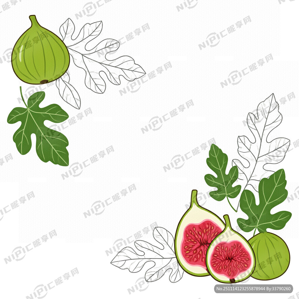无花果加树叶线条矢量