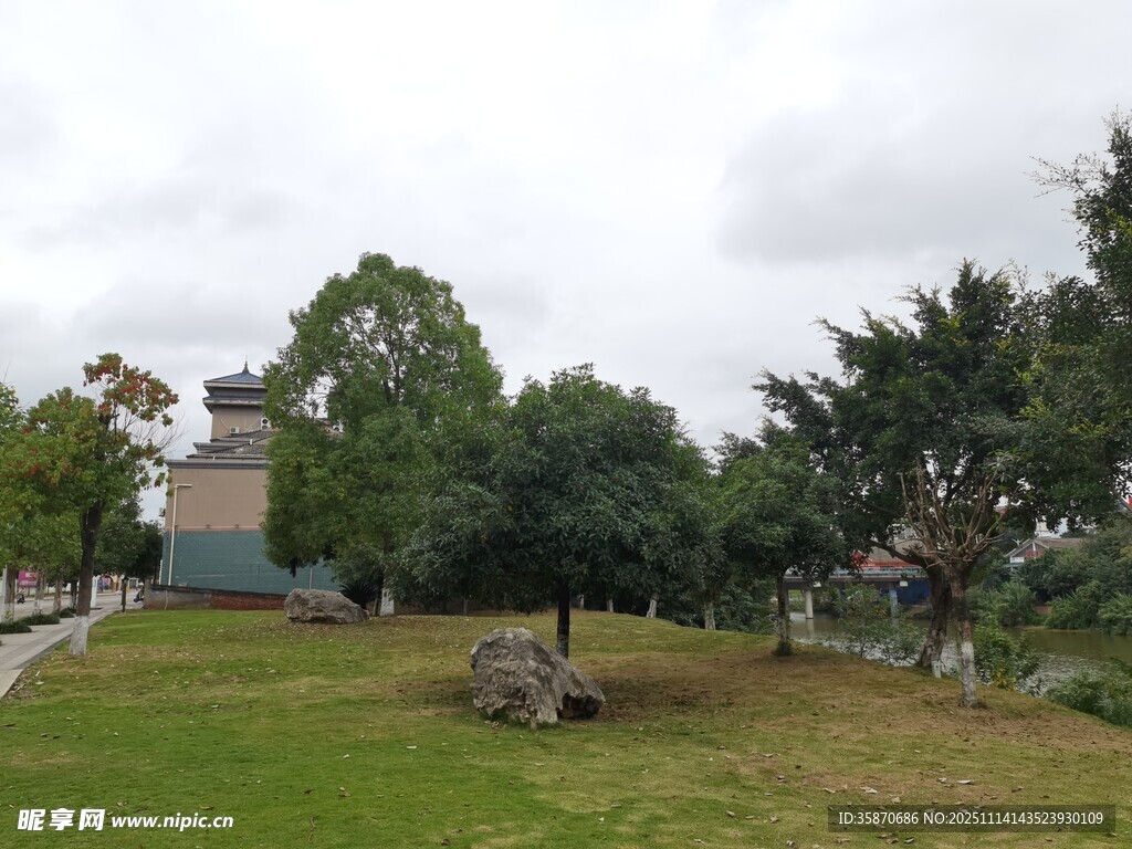 户外绿意盎然的休闲草地