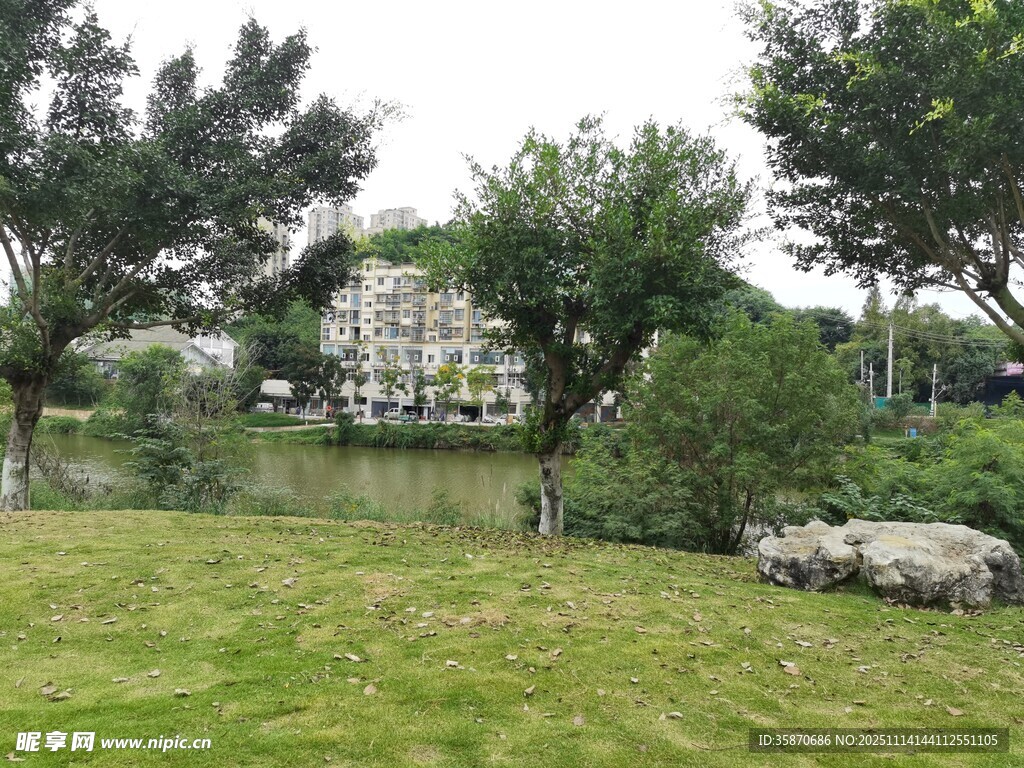 城市中的静谧绿地景观