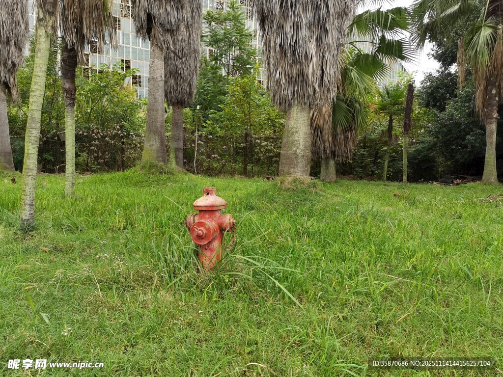 草地上的红色消防栓