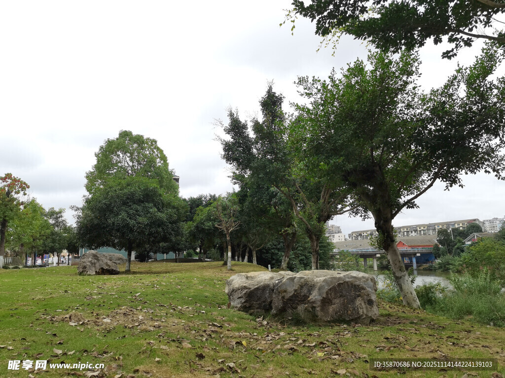 户外草地树木景观