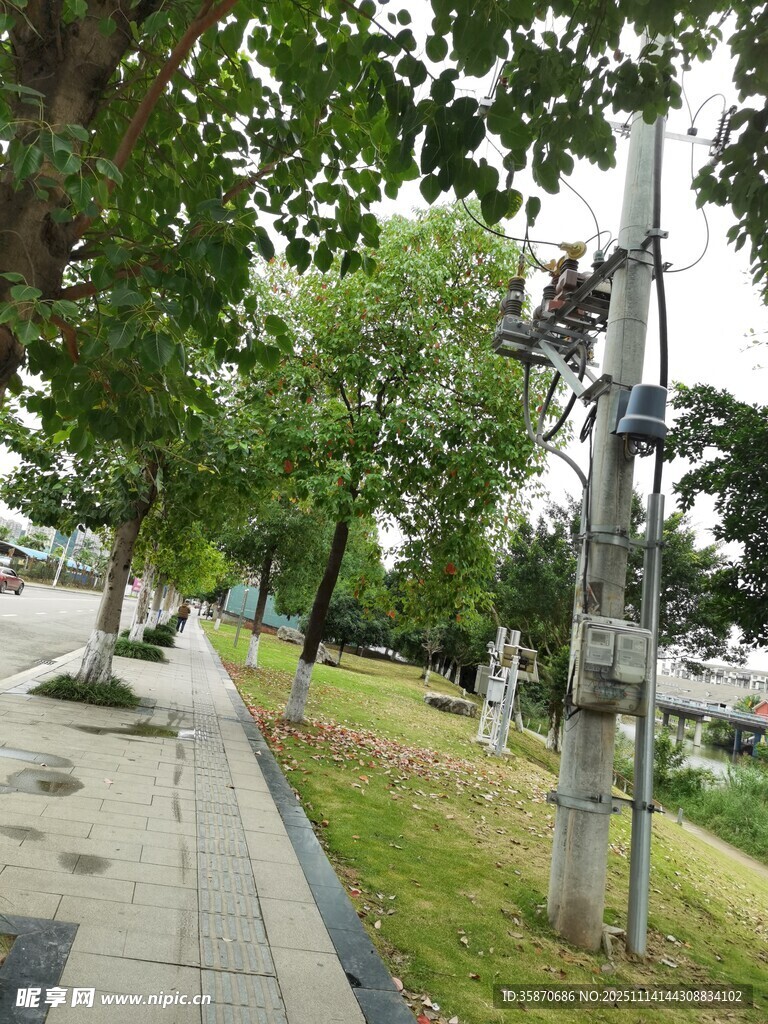 城市绿荫下的休闲步道