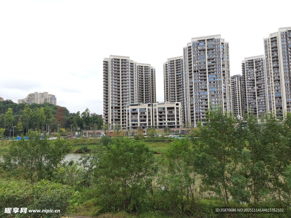 城市高楼旁的绿意景观