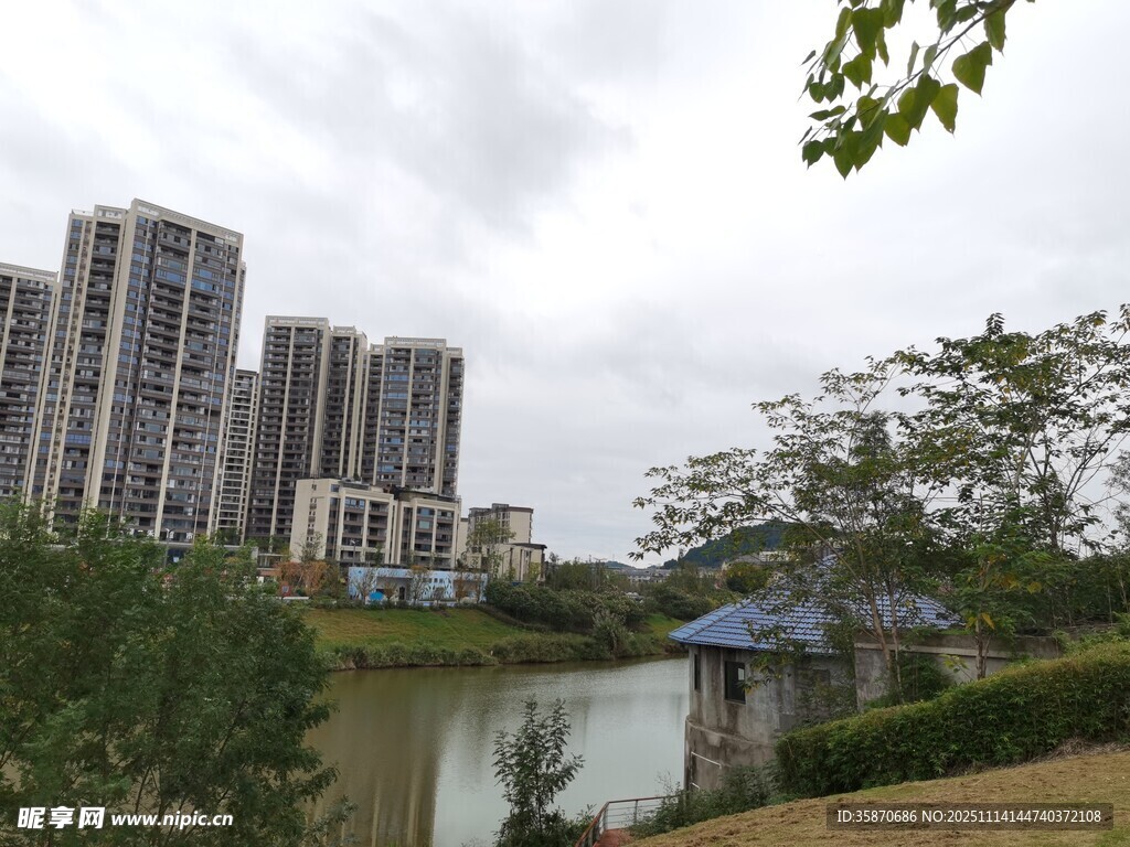 湖畔高楼与绿植景观