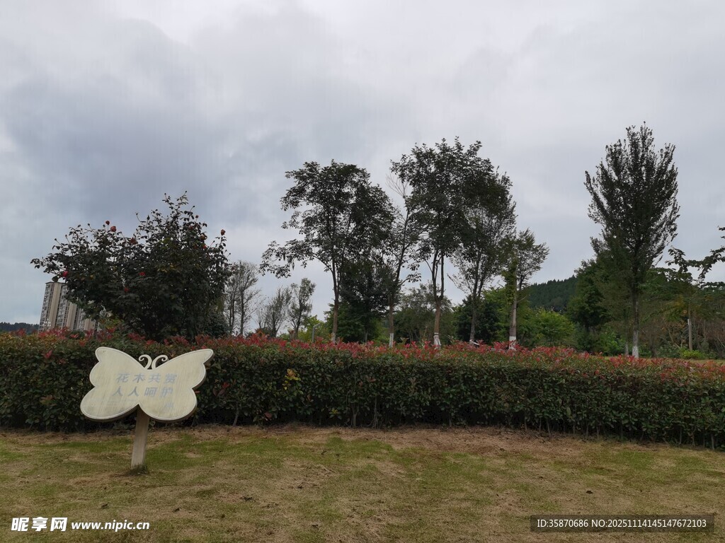 草地上的巨型蝴蝶装饰