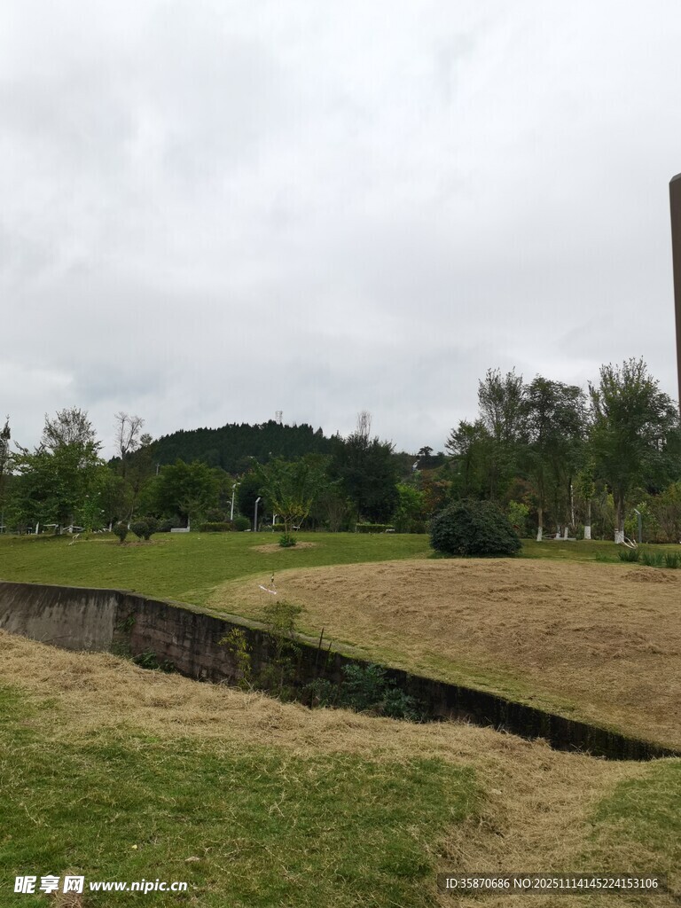 户外草地与远处树木景观