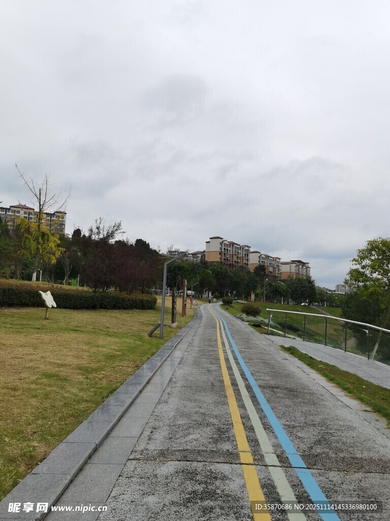 雨中的多彩道路