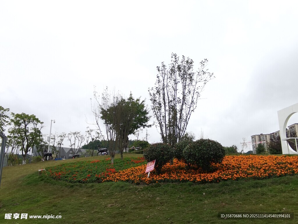 秋日公园中的多彩花卉景观