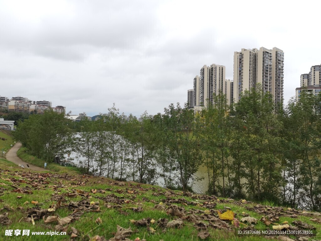 河畔高楼与绿植景观