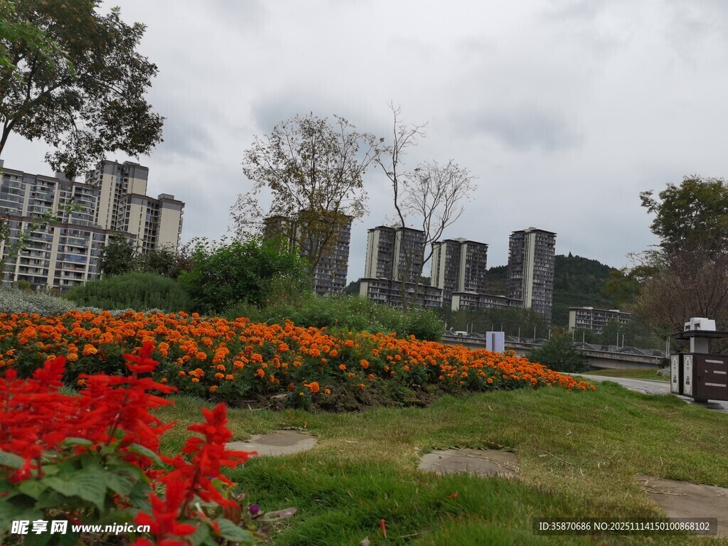 城市中多彩花卉装点的绿地