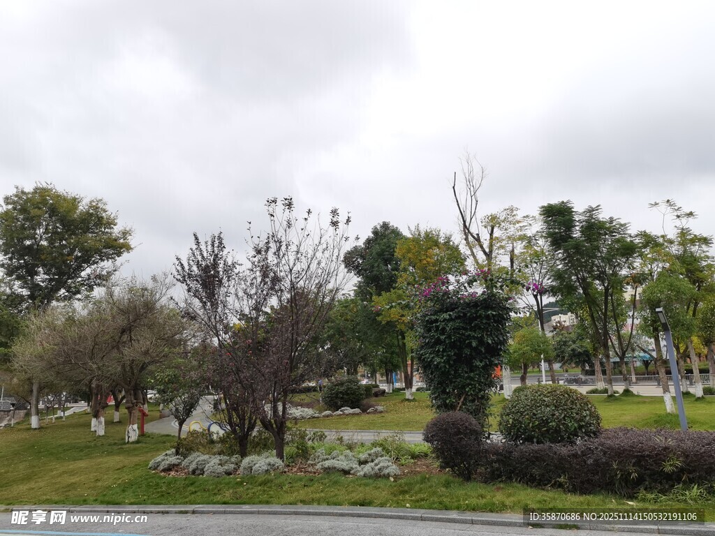 园林景致绿植与石相映成趣