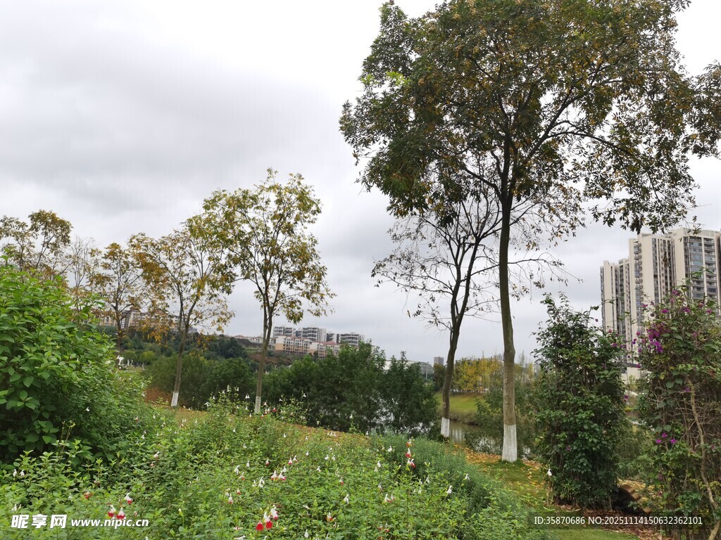 城市中的绿意盎然景观