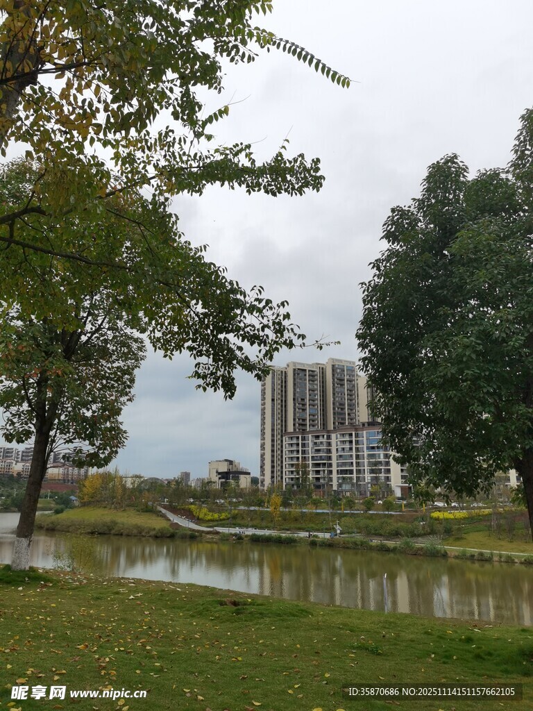 湖畔绿树与远处建筑景观