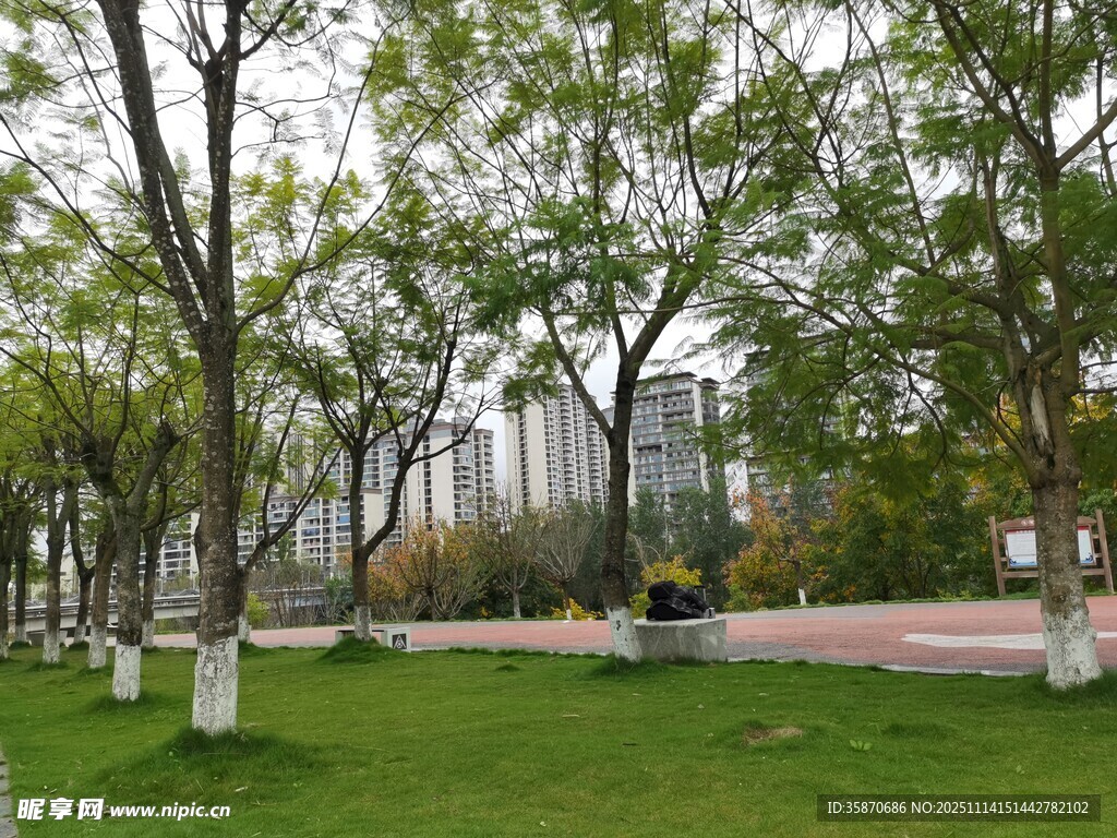 城市公园绿意盎然景致