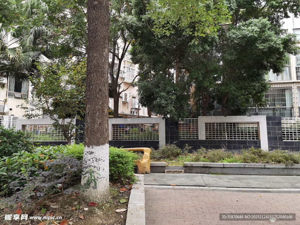 小区内的绿树与道路景观
