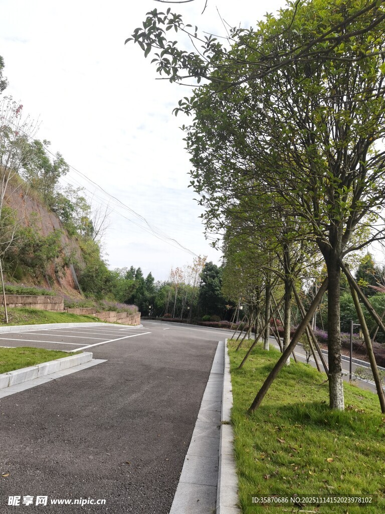 城郊林荫小道风景