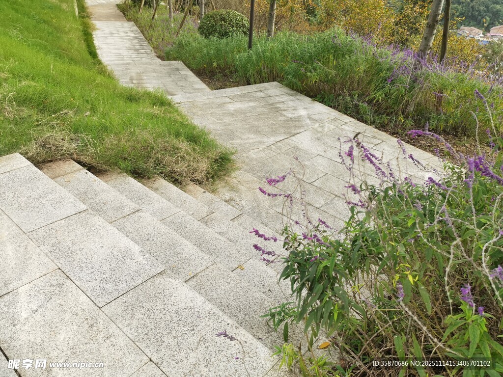 石砌阶梯旁的绿植景致