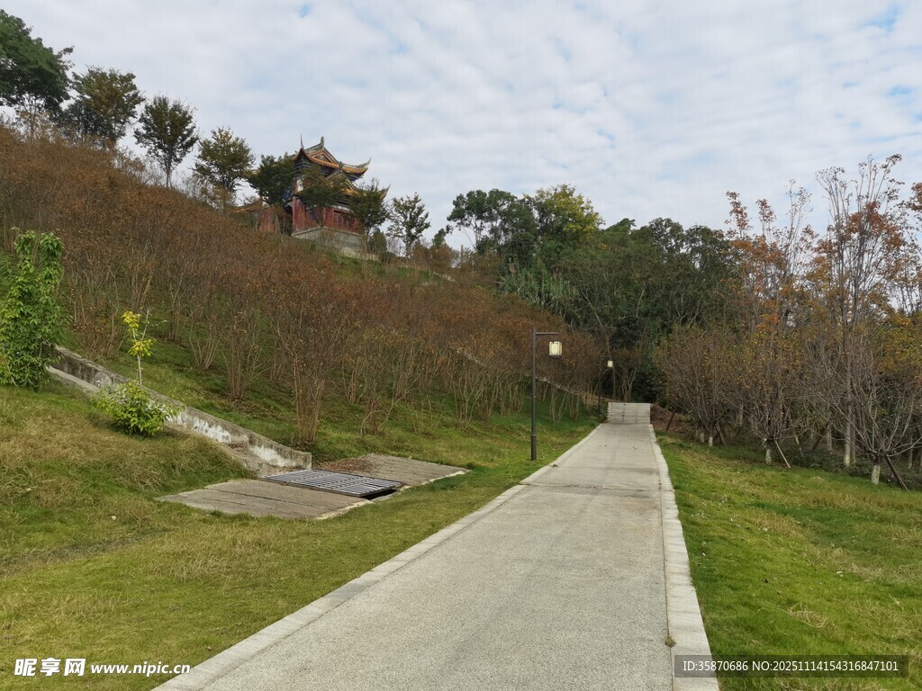 林间步道自然惬意风光