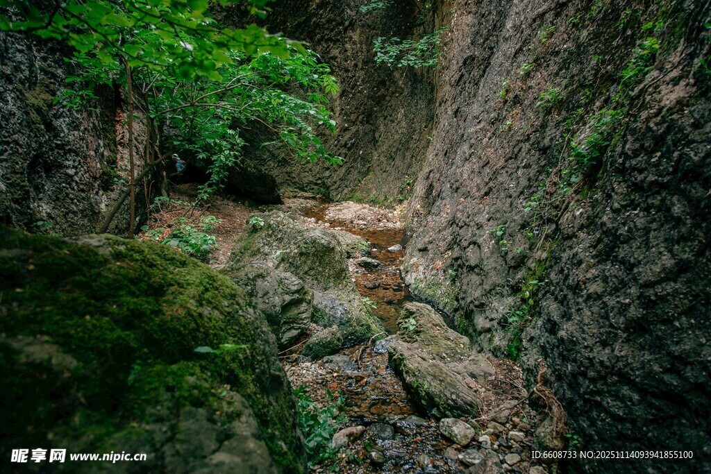 山间幽意盎然的峡谷
