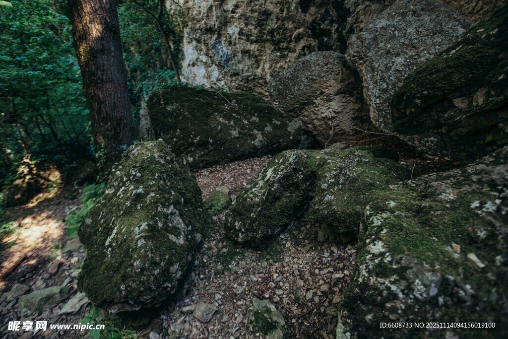 山林间覆满青苔的岩石