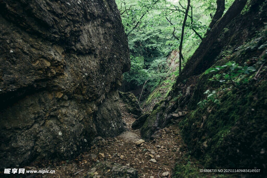 山间幽深峡谷小道
