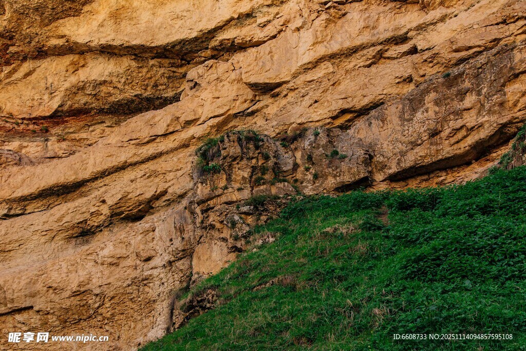 崖壁上的绿植景观