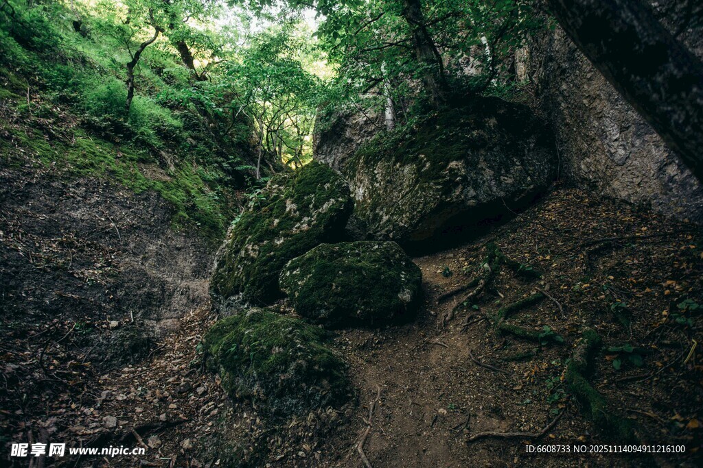 山林间的隐秘小径