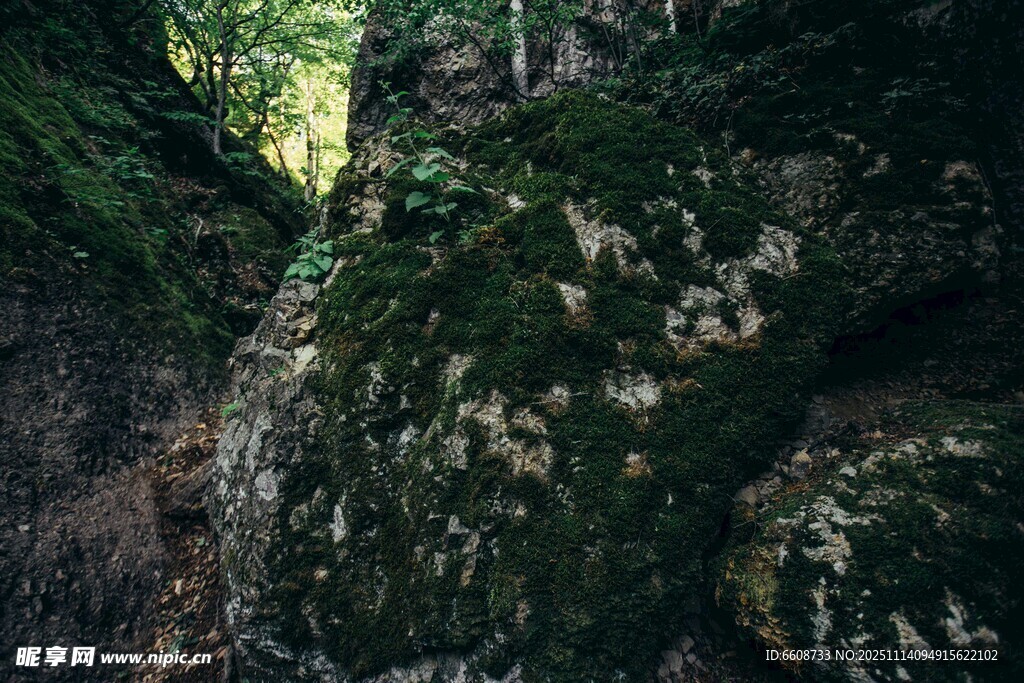 山间覆满青苔的嶙峋岩石