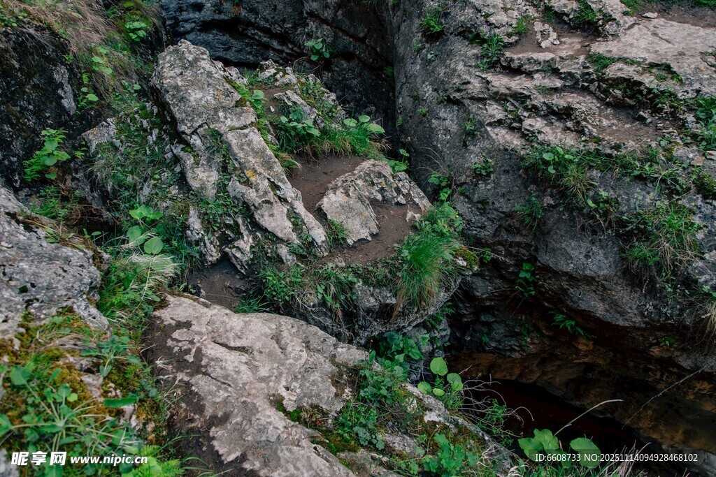 山间岩石与繁茂绿植