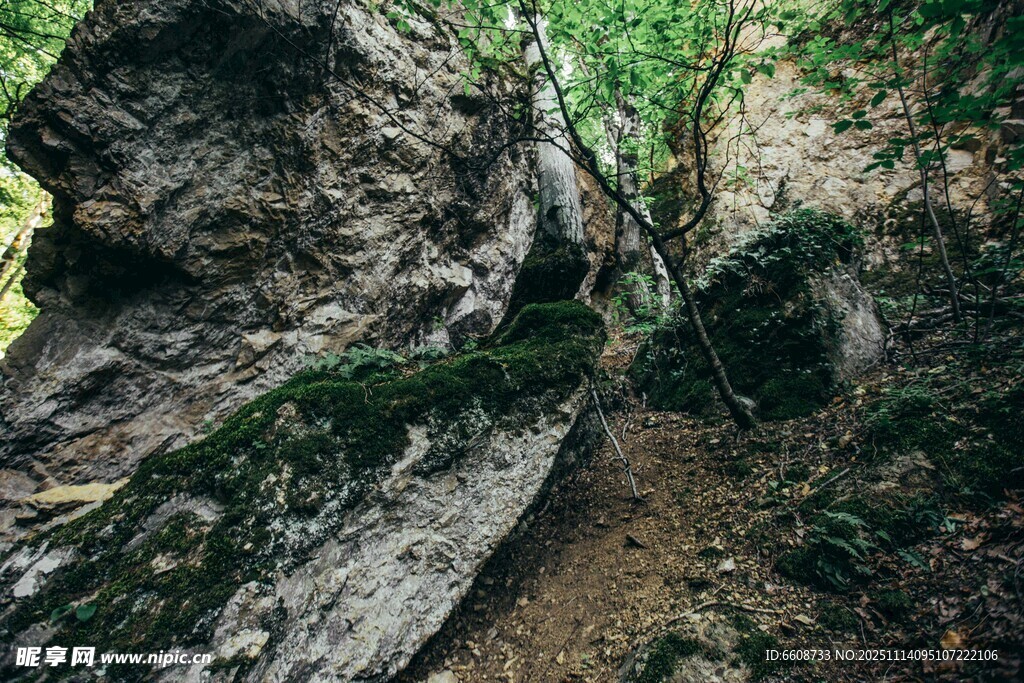 山间岩石小意盎然