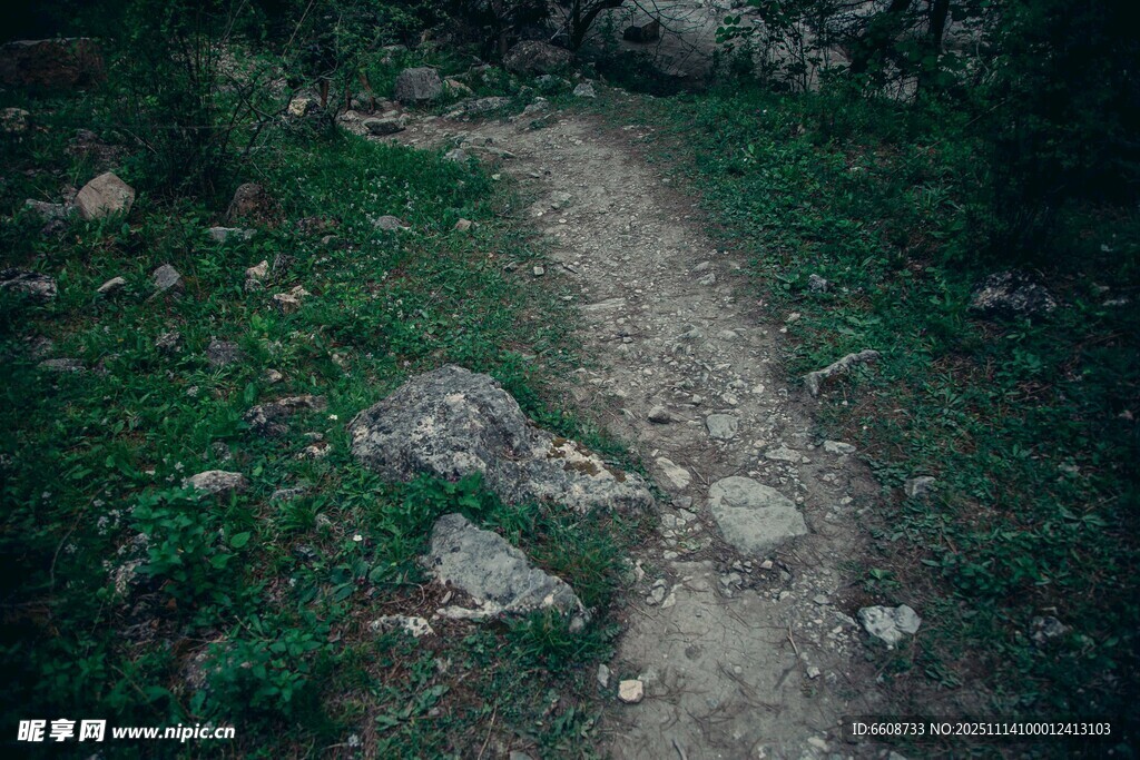 山间小径绿意与石的邂逅
