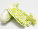 银丝白菜