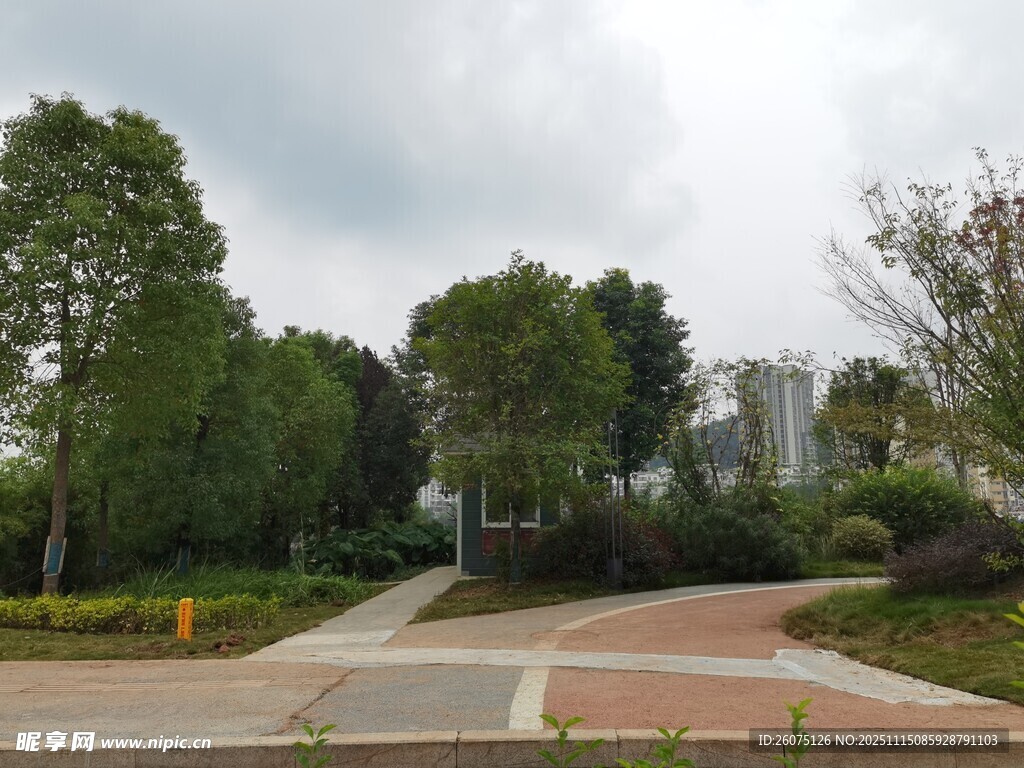 城市公园中的宁静步道