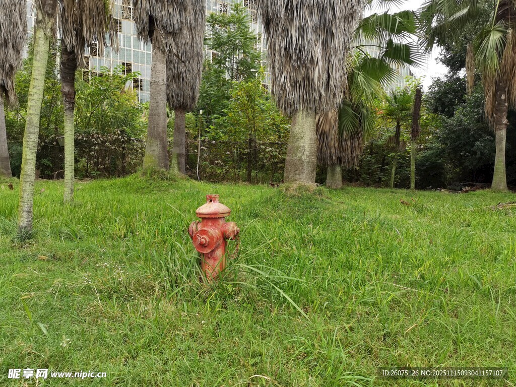 草地上的红色消防栓