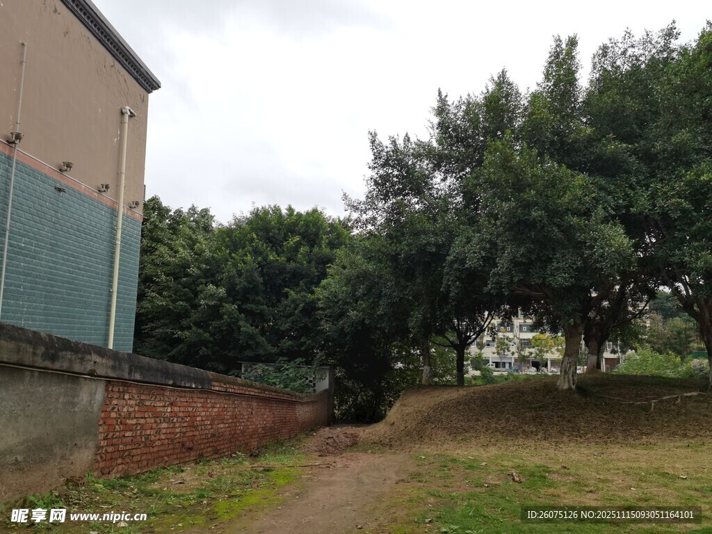 户外小径旁的绿植与建筑