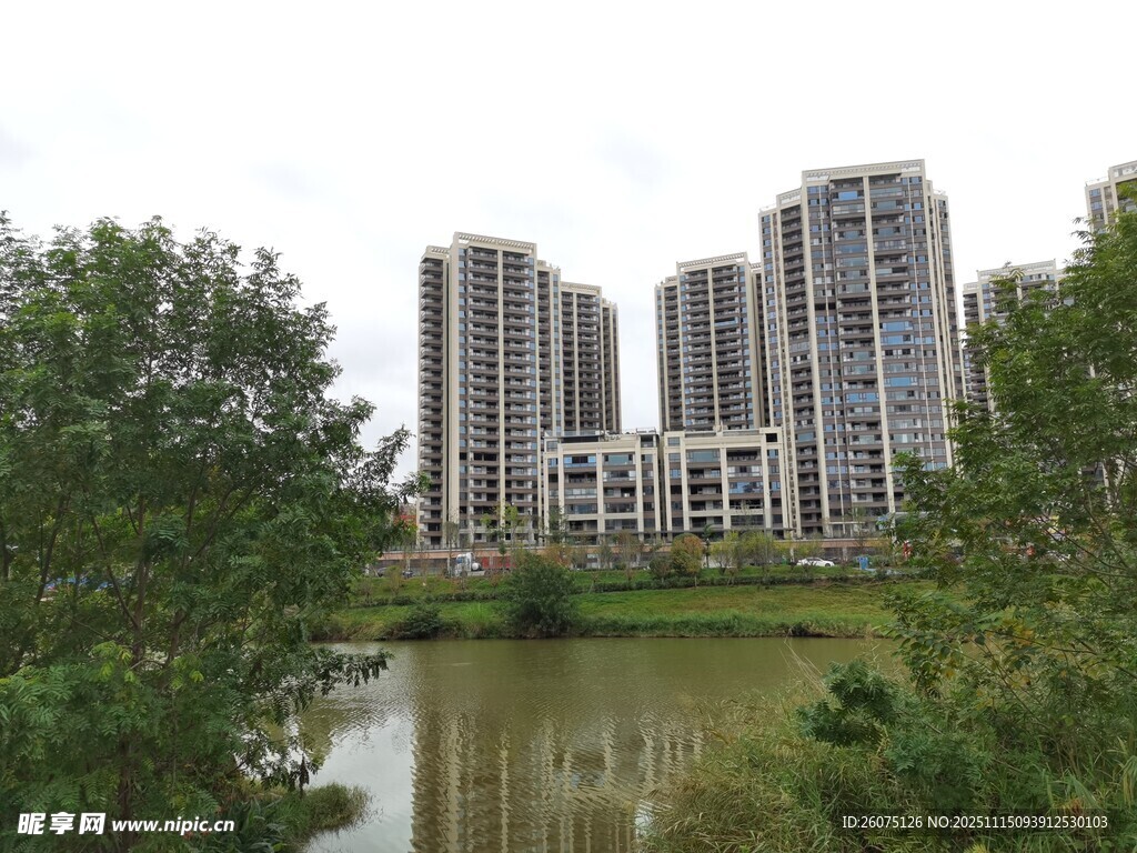 湖畔高楼与葱郁绿植景观