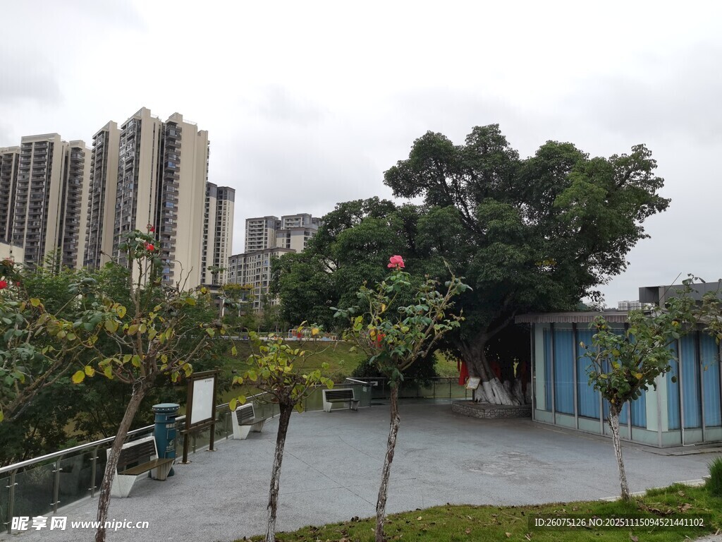 城市中静谧的户外休闲区域