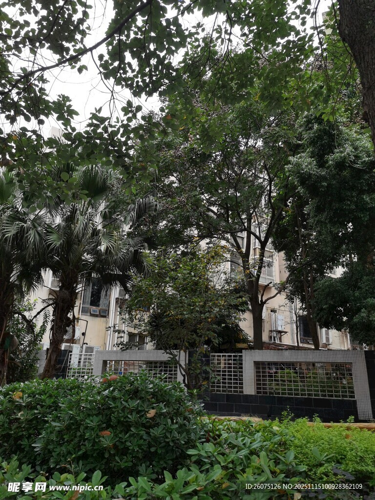 绿树环绕的静谧建筑