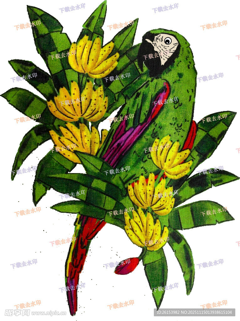 绿鹦鹉栖于繁花枝头白墨 直喷 