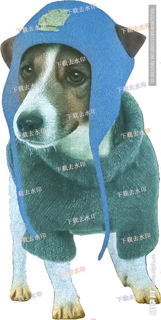 穿帽衫的可爱狗狗白墨 直喷 烫