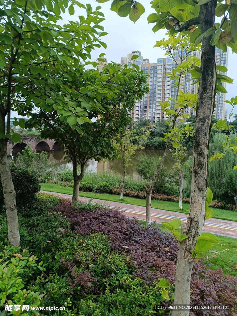 城市中的静谧绿植景观