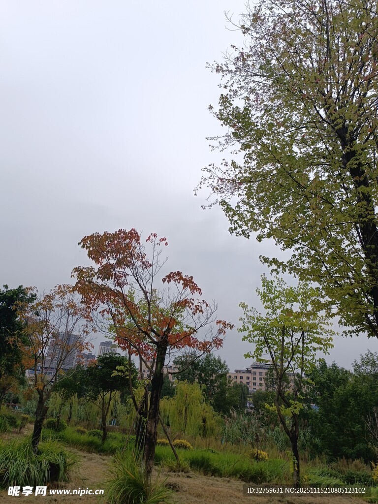 雨中园林景致