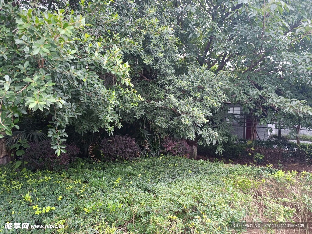 繁茂绿植环绕的隐蔽角落